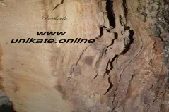 unikate-online