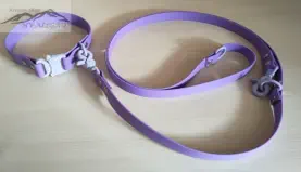 Biothane Halsband für Hunde